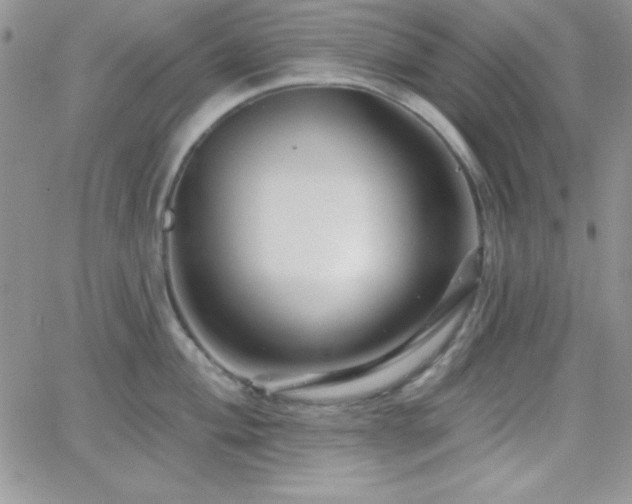 X0000066511004200603201253