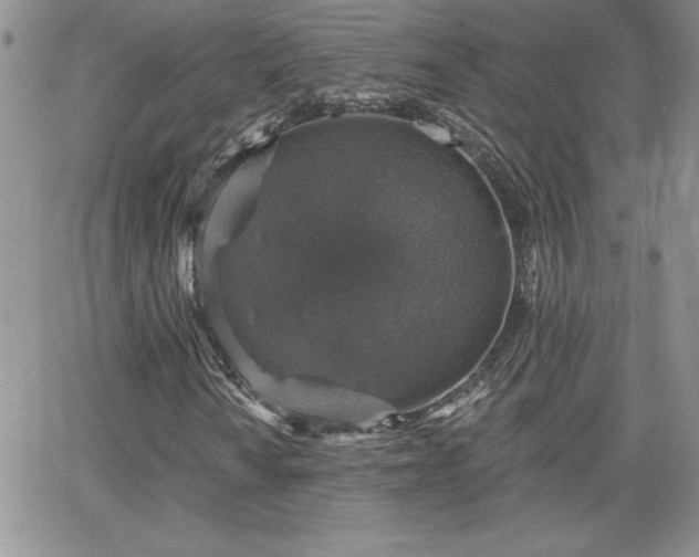 X0000066511010200603201253