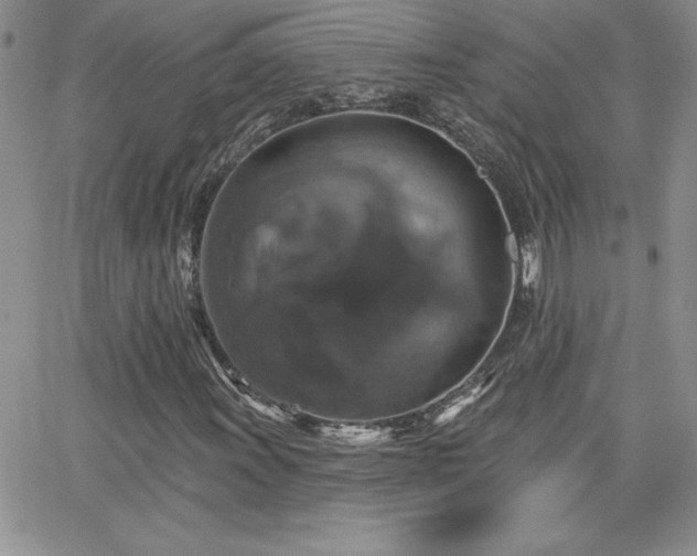 X0000066511011200603201253
