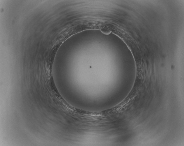X0000066511013200603201253