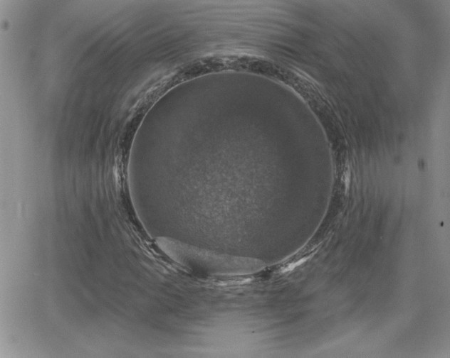 X0000066511014200603201253