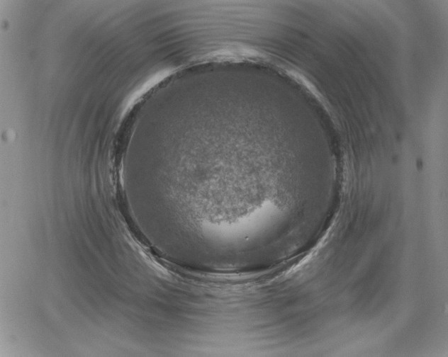 X0000066511018200603201253