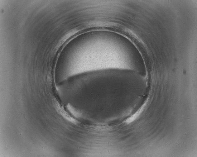 X0000066511025200603201253