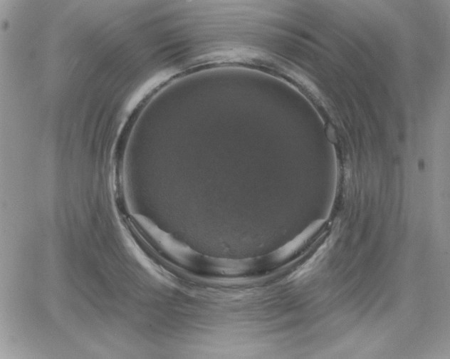 X0000066511034200603201253