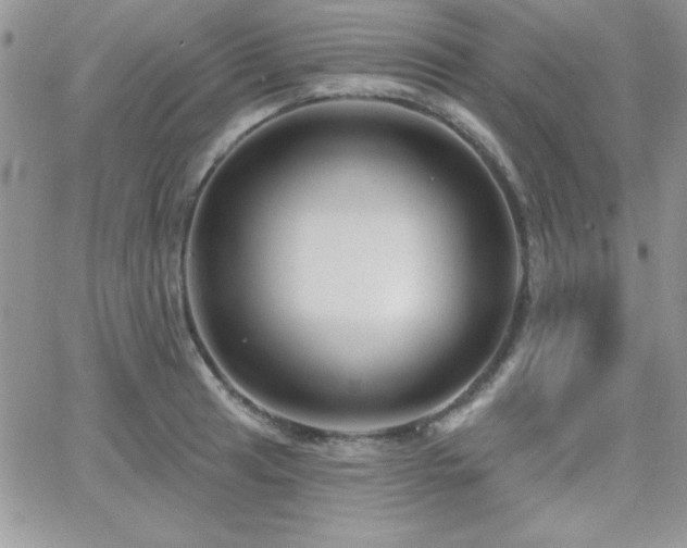X0000066511041200603201253