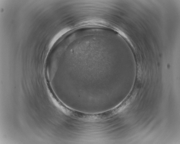 X0000066511042200603201253