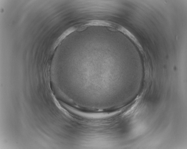 X0000066511049200603201253