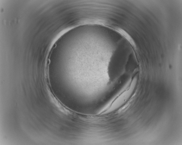 X0000066511052200603201253
