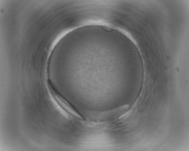 X0000066511056200603201253