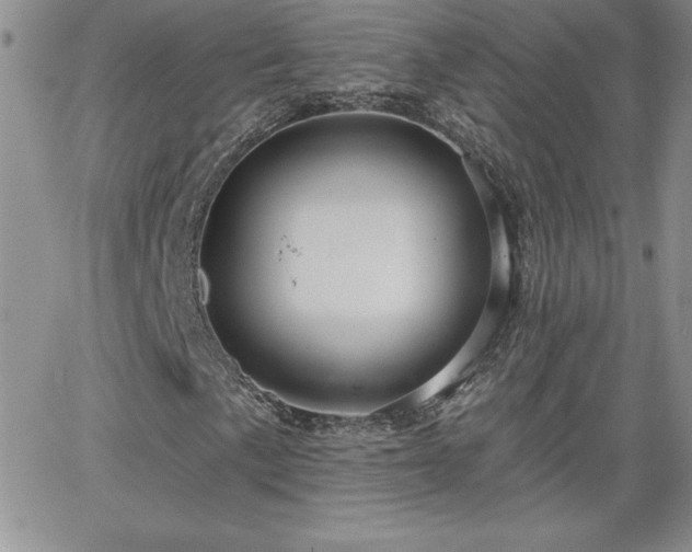 X0000066511057200603201253