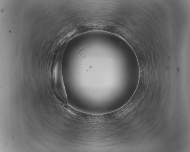 X0000066511058200603201253