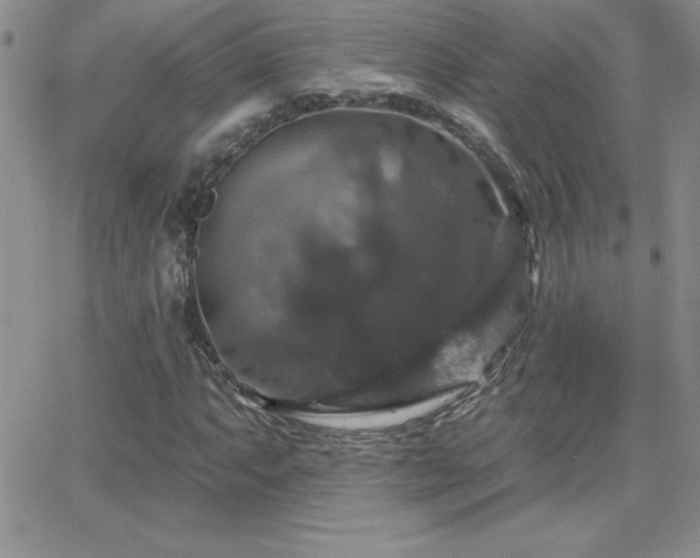 X0000066511063200603201253