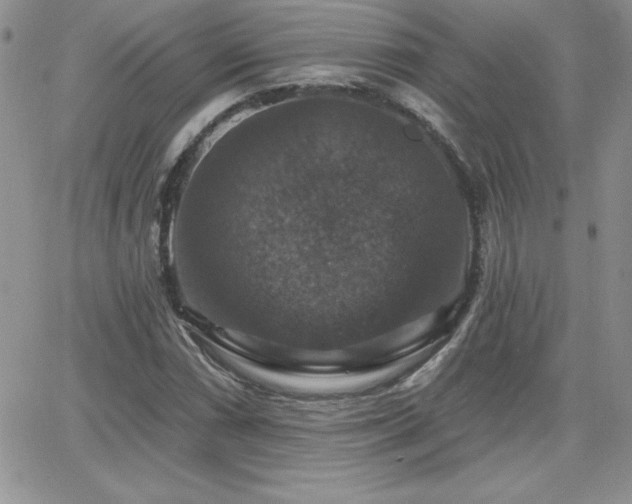 X0000066511066200603201252