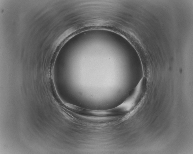 X0000066511073200603201252