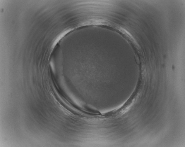 X0000066511081200603201252