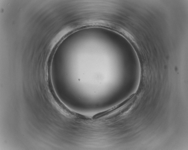 X0000066511082200603201252