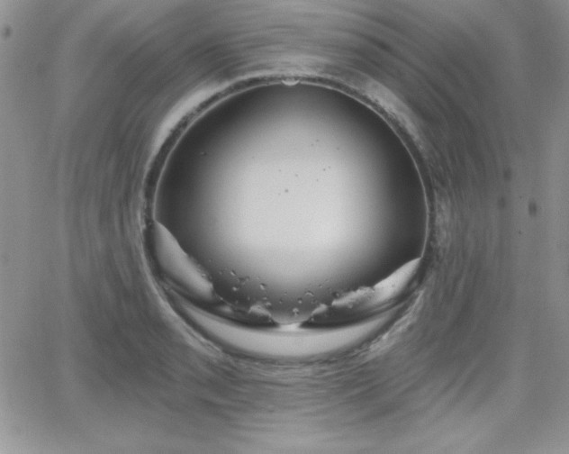 X0000066511085200603201252