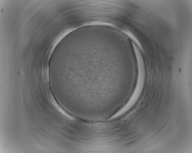 X0000066511092200603201252