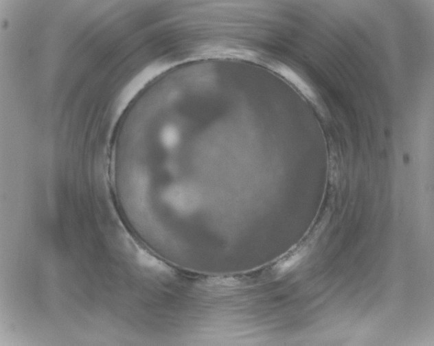 X0000066511094200603201252