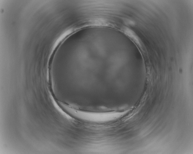 X0000066511095200603201252