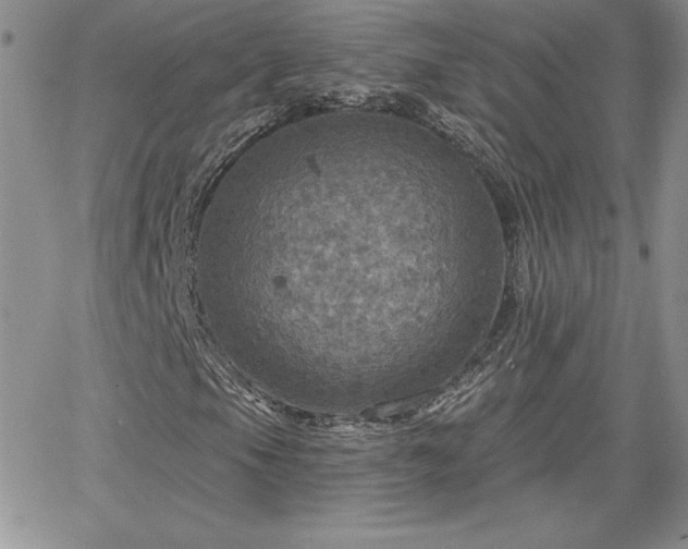 X0000066511105200603201251