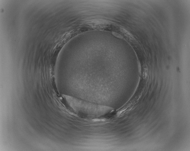 X0000066511108200603201251