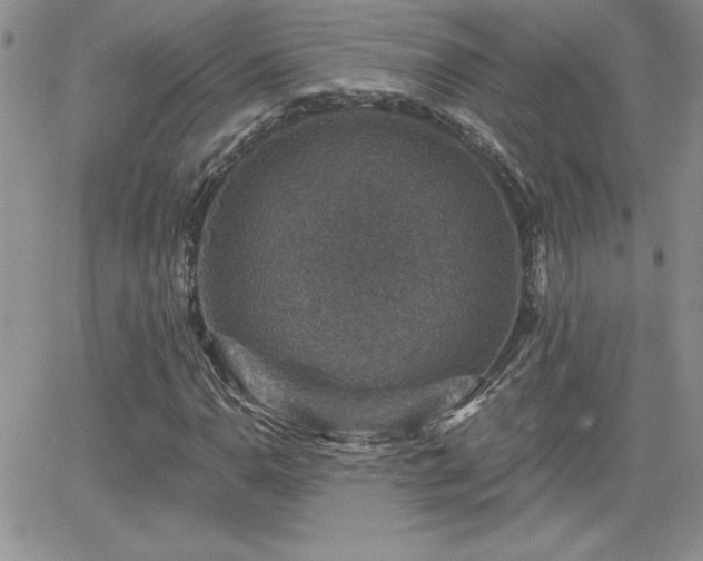 X0000066511110200603201251