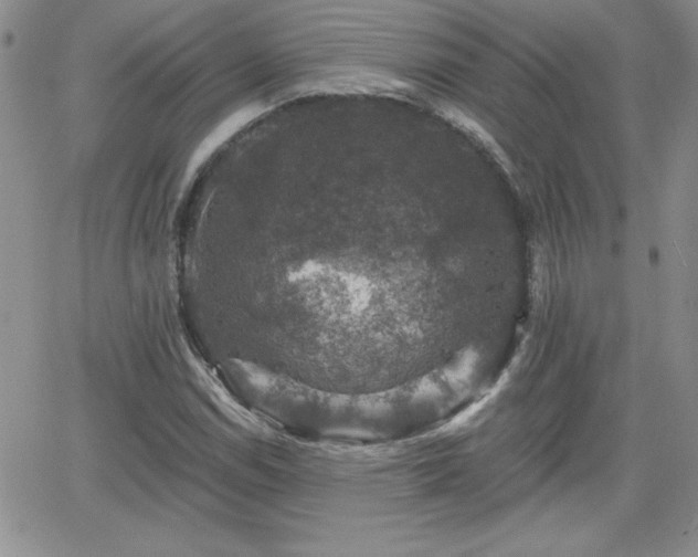 X0000066511114200603201251