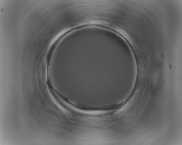 X0000066511127200603201251