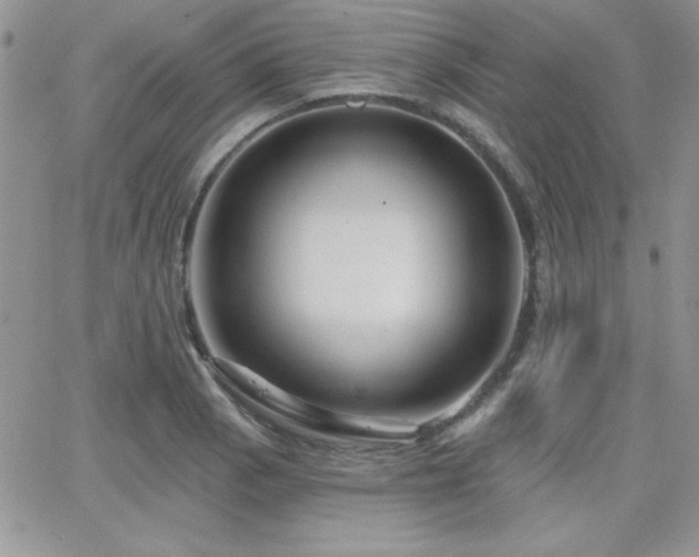 X0000066511129200603201251