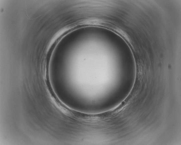 X0000066511131200603201251