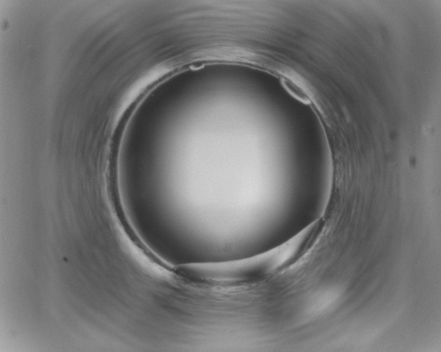 X0000066511139200603201252