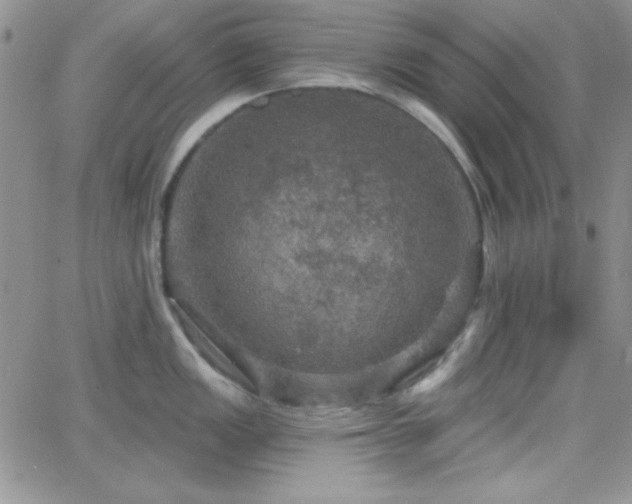 X0000066511149200603201252