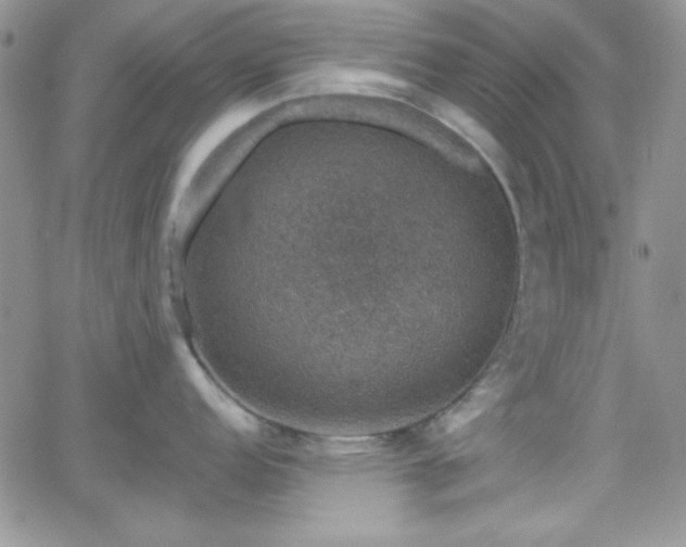 X0000066511152200603201252