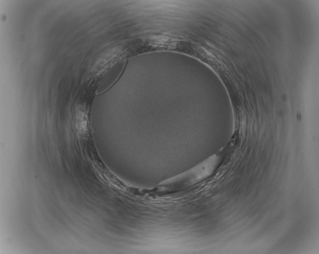 X0000066511154200603201251