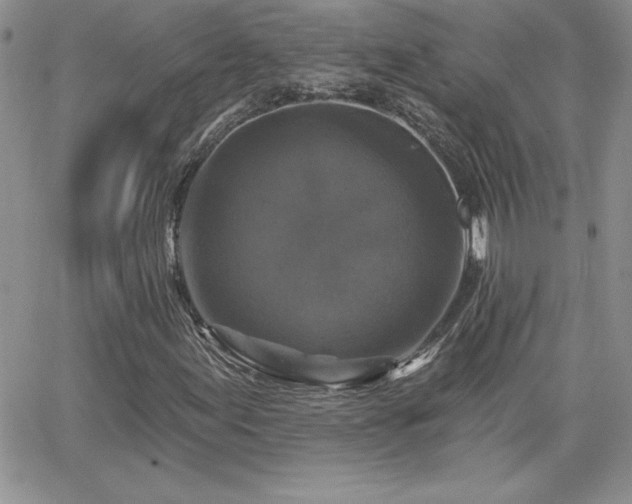 X0000066511155200603201251