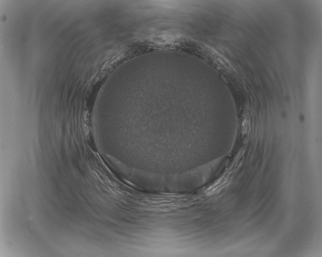 X0000066511156200603201251