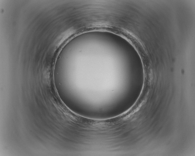 X0000066511162200603201251