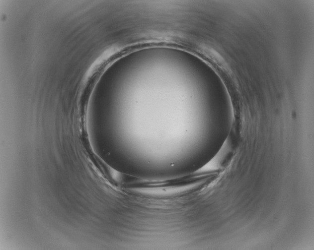 X0000066511172200603201251