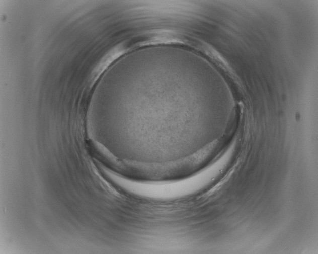 X0000066511177200603201251