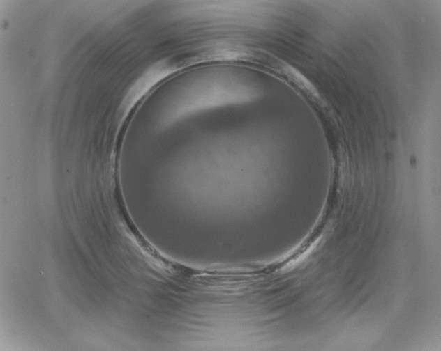 X0000066511178200603201251