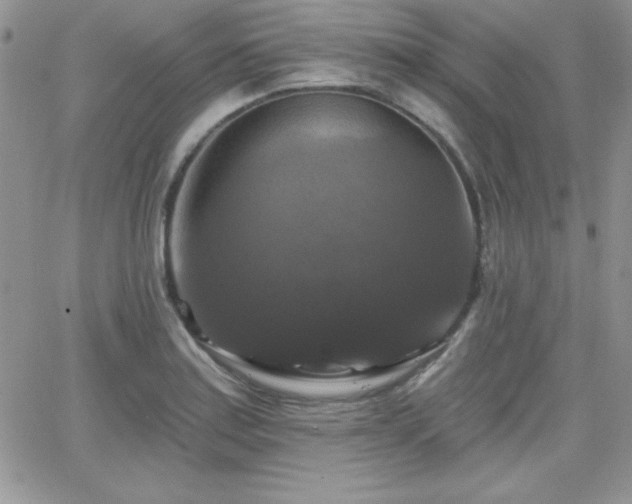 X0000066511179200603201251