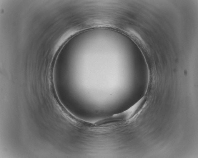 X0000066511182200603201251