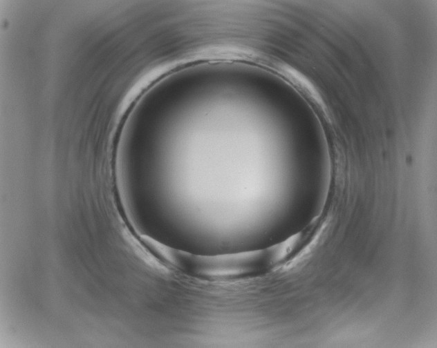 X0000066511192200603201250
