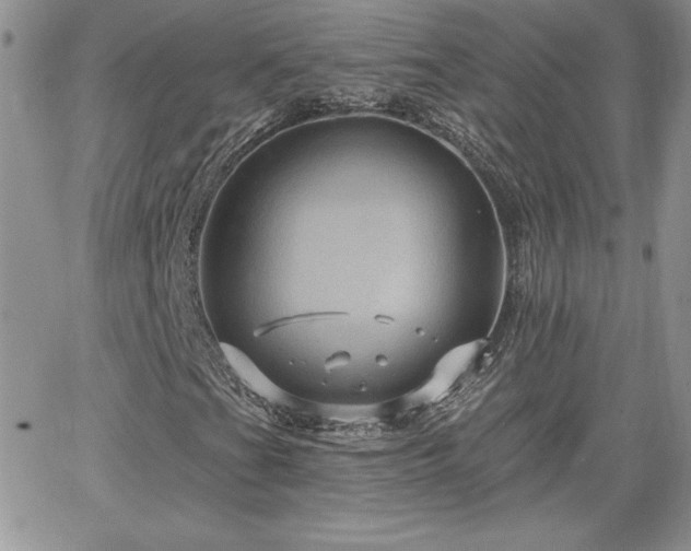 X0000066511201200603201250