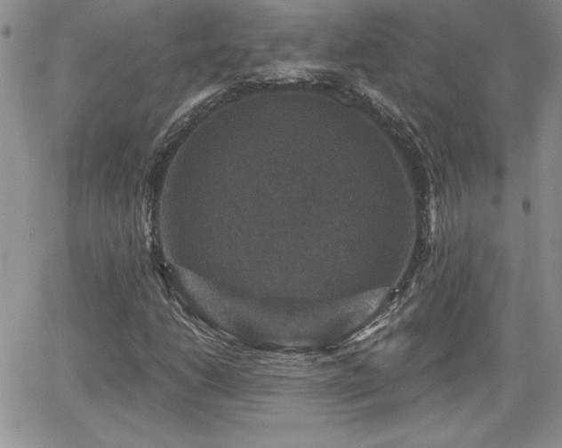 X0000066511206200603201250