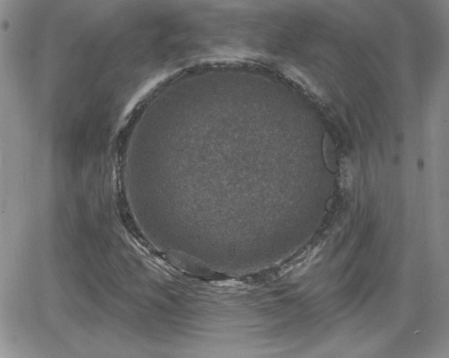 X0000066511208200603201250
