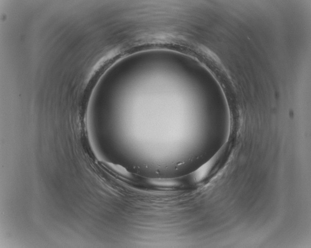 X0000066511218200603201250