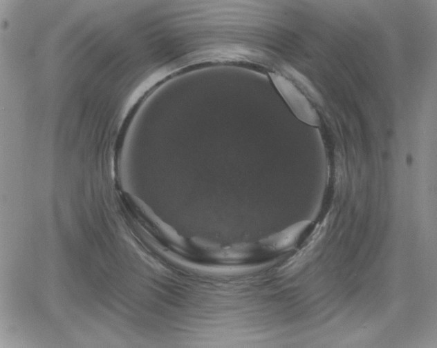 X0000066511226200603201250
