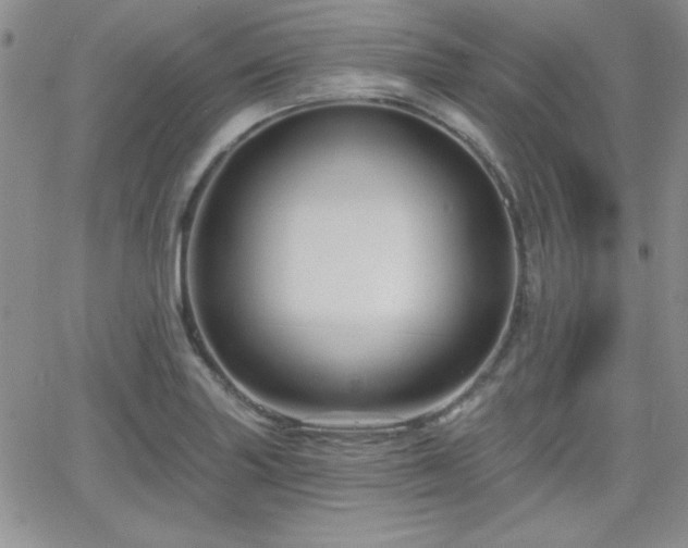 X0000066511227200603201250
